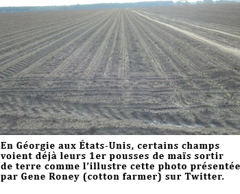 US Corn mars 20 2012